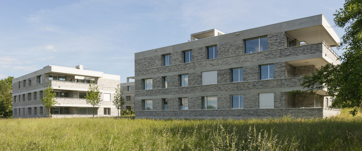 Im Kirschgarten Binningen 01, Müller&Naegelin Architekten, Foto © Julian Salinas